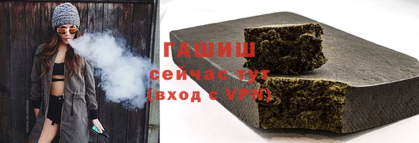 хмурый Арсеньев