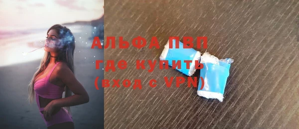 хмурый Арсеньев