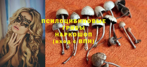 хмурый Арсеньев