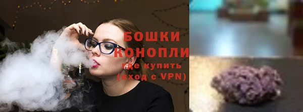 хмурый Арсеньев