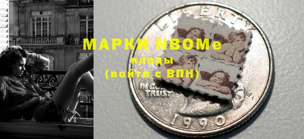 хмурый Арсеньев