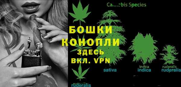 хмурый Арсеньев